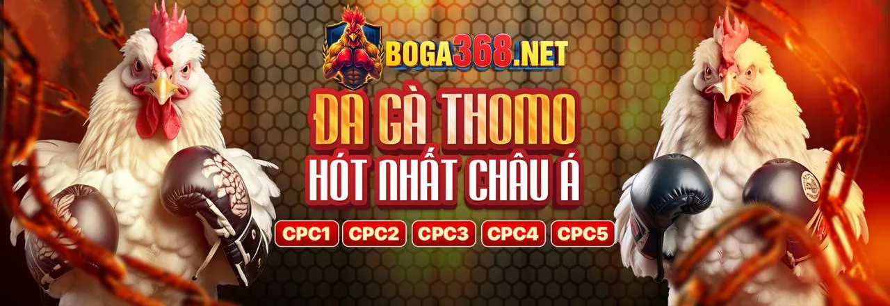 Đội ngũ hỗ trợ khách hàng chuyên nghiệp của zbet88